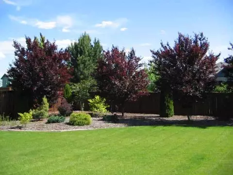 206 E Trevor, Colbert, WA 99005 photo 7