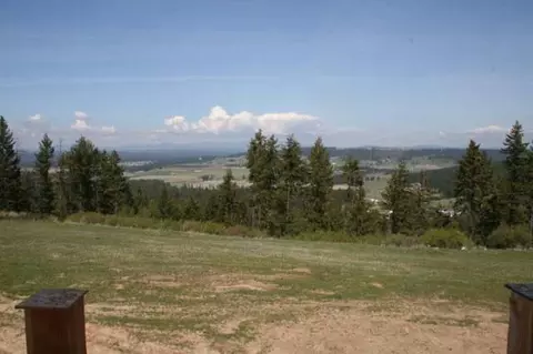 7501 E Greenbluff, Colbert, WA 99005 photo 9