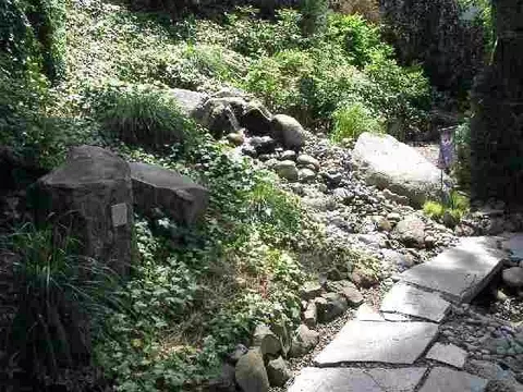 2109 E 17th Ave, Spokane, WA 99203 photo 9