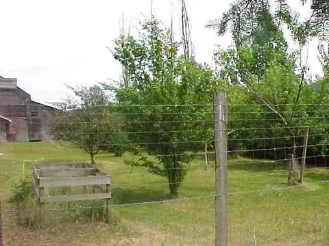 1048 Deaver Rd, Evans, WA 99126 photo 6