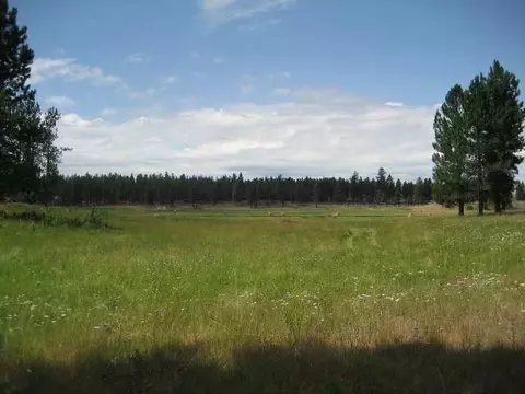 6810 Spangle Waverly Rd, Spangle, WA 99031 photo 1
