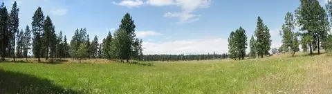 6810 Spangle Waverly Rd, Spangle, WA 99031 photo 4