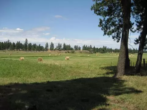 6810 Spangle Waverly Rd, Spangle, WA 99031 photo 2