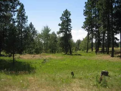 6810 Spangle Waverly Rd, Spangle, WA 99031 photo 8