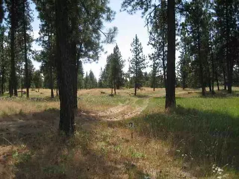 6810 Spangle Waverly Rd, Spangle, WA 99031 photo 7