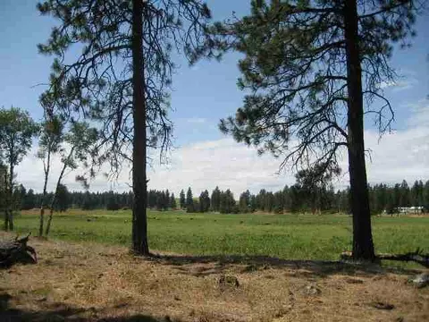 6810 Spangle Waverly Rd, Spangle, WA 99031 photo 6