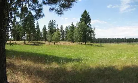 6810 Spangle Waverly Rd, Spangle, WA 99031 photo 3