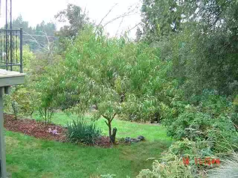 3605 E 16th, Spokane, WA 99223 photo 9