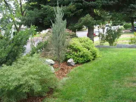 1508 E 10th Ave, Spokane, WA 99202 photo 2