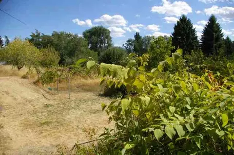 14108 E 3rd Ave, Spokane Valley, WA 99216 photo 7