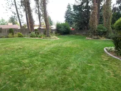 2629 E 39th Ave, Spokane, WA 99223 photo 8