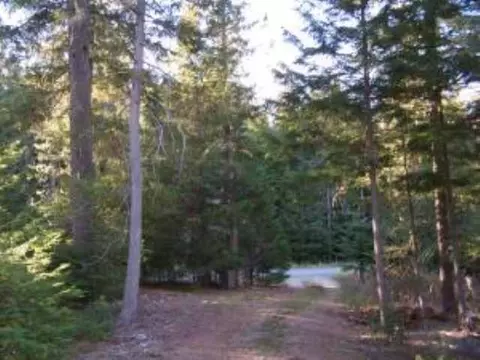 1403 Larch Ln, Cusick, WA 99119 photo 7