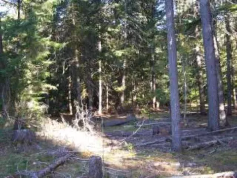 1403 Larch Ln, Cusick, WA 99119 photo 6