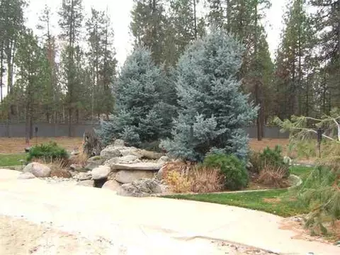 1508 E Legacy Ln, Spokane, WA 99208 photo 3
