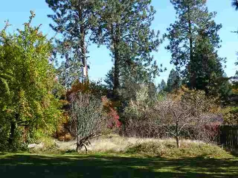 11716 E 19th Ave, Spokane, WA 99206 photo 2