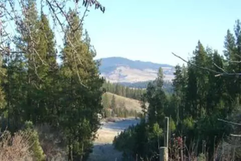 14511 S Stentz Rd, Spangle, WA 99031 photo 2