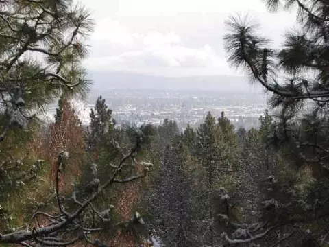 8024 E Woodview Dr, Spokane, WA 99212 photo 9
