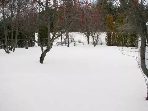 13123 E Guthrie, Spokane Valley, WA 99216 photo 9