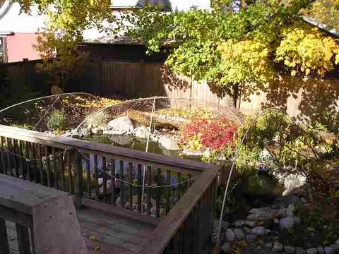 607 E 23rd Ave, Spokane, WA 99203 photo 6
