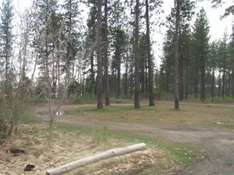 23106 N Wagon Rd, Colbert, WA 99005 photo 2