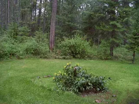 101 S River Rd #OFF OLD LECLERC ROAD, Cusick, WA 99119 photo 6