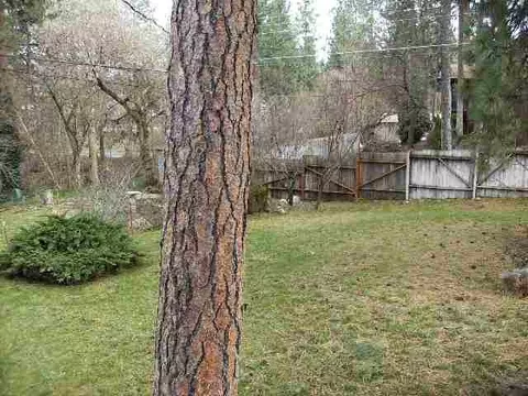 3314 E 14th Ave, Spokane, WA 99223 photo 8