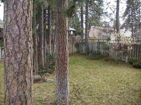3314 E 14th Ave, Spokane, WA 99223 photo 7