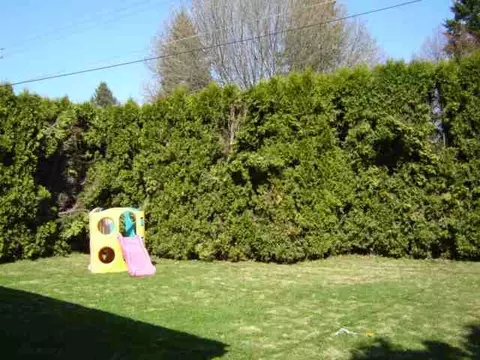 3105 E 8th Ave, Spokane, WA 99202 photo 4