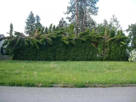 904 E 35th Ave, Spokane, WA 99203 photo 1