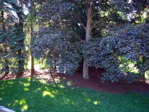 2008 E 35th Ave, Spokane, WA 99203 photo 9