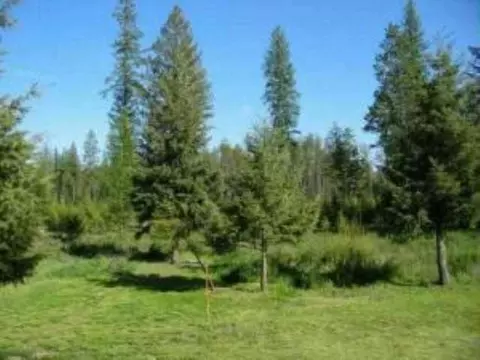37726 Echo Rd, Deer Park, WA 99006 photo 8