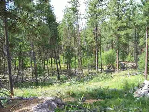 801 E Westcrest, Colbert, WA 99005 photo 4