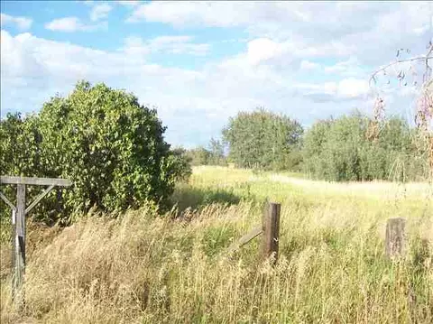 902 W Cheney-spangle Rd, Spangle, WA 99031 photo 6
