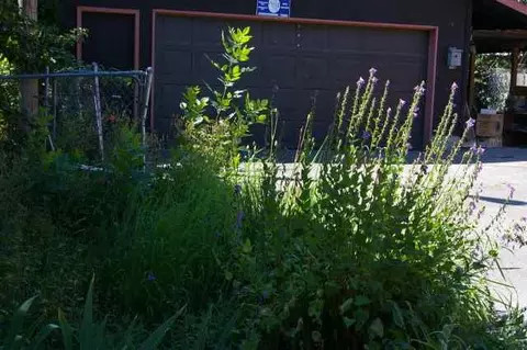 409 Sacheen, Cusick, WA 99119 photo 9