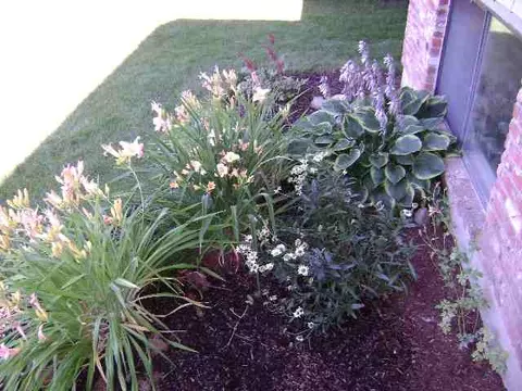 14508 E 6th, Spokane Valley, WA 99216 photo 8