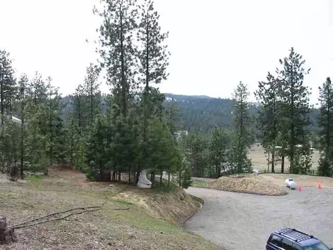 16905 N Scribner Branch Ln, Spokane, WA 99217 photo 5