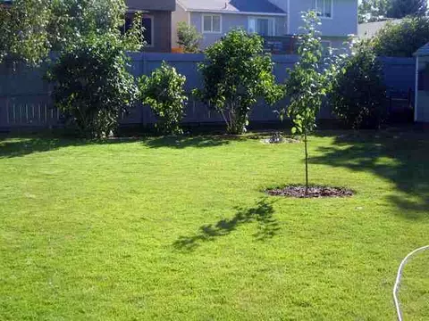 3224 E 43rd Ave, Spokane, WA 99223 photo 9