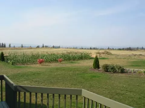 8617 E Greenbluff Rd, Colbert, WA 99005 photo 9