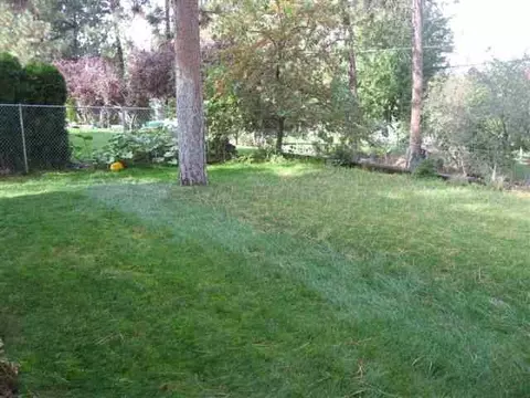 4021 E 16th, Spokane, WA 99223 photo 6