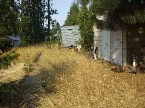 2919 E 34th Ave, Spokane, WA 99223 photo 6