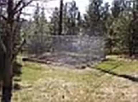 6816 E 14th Ave, Spokane Valley, WA 99212 photo 5