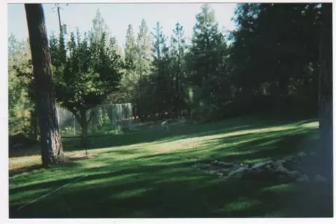 6816 E 14th Ave, Spokane Valley, WA 99212 photo 9