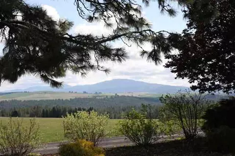 15010 S Stentz Rd, Spangle, WA 99031 photo 2
