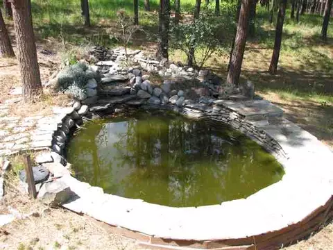 1317 E Miller Rd, Spangle, WA 99031 photo 5