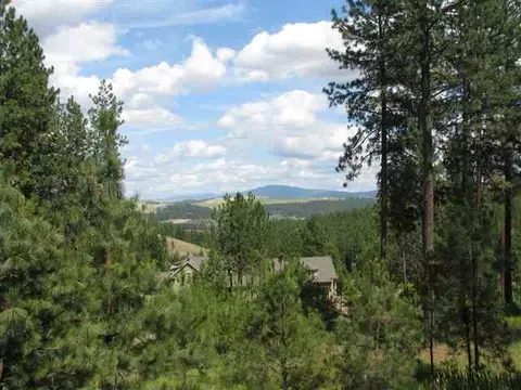 1317 E Miller Rd, Spangle, WA 99031 photo 6