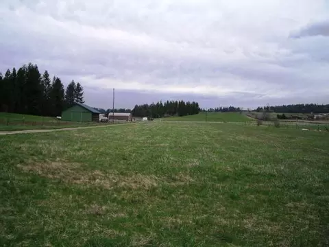 5720 E Greenbluff Rd, Colbert, WA 99005 photo 4