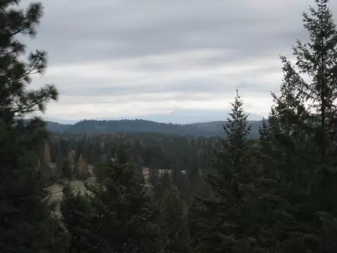 2 Phay Road, Elk, WA 99009 photo 2