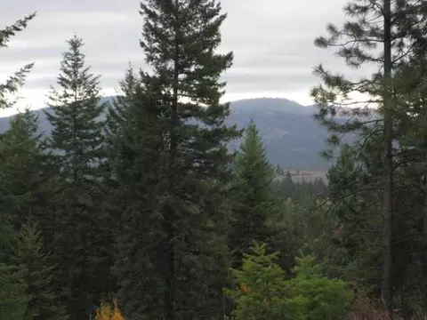 2 Phay Road, Elk, WA 99009 photo 1