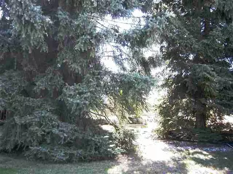 914 E Heroy, Spokane, WA 99207 photo 1