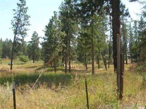 209 W Wildrose, Colbert, WA 99005 photo 7